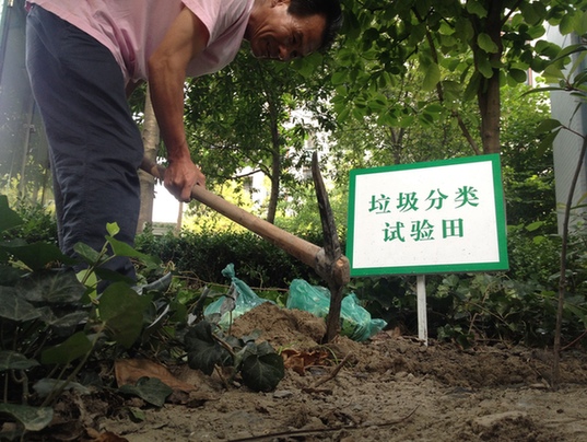 厨余垃圾填埋为社区试验田追肥